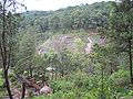 Vista panorámica de bosque en Mazamitla