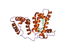 PDB 1ysx EBI.jpg