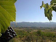 Panorama Todorovca.jpg