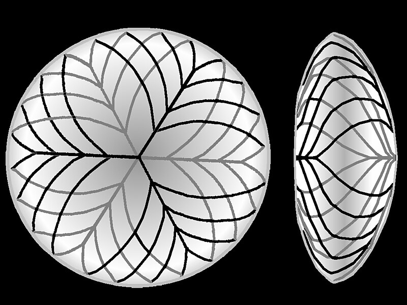 File:Pattern of lens fibers.jpg