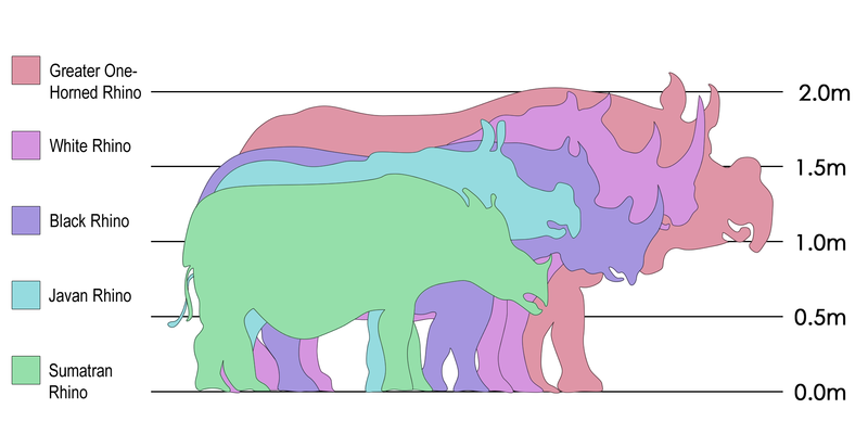 Archivo:Rhinosizes.png