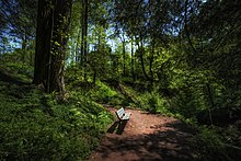 A restful spot in the Root Glen