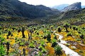 Image 34Rwenzori mountains in Uganda (from Uganda)