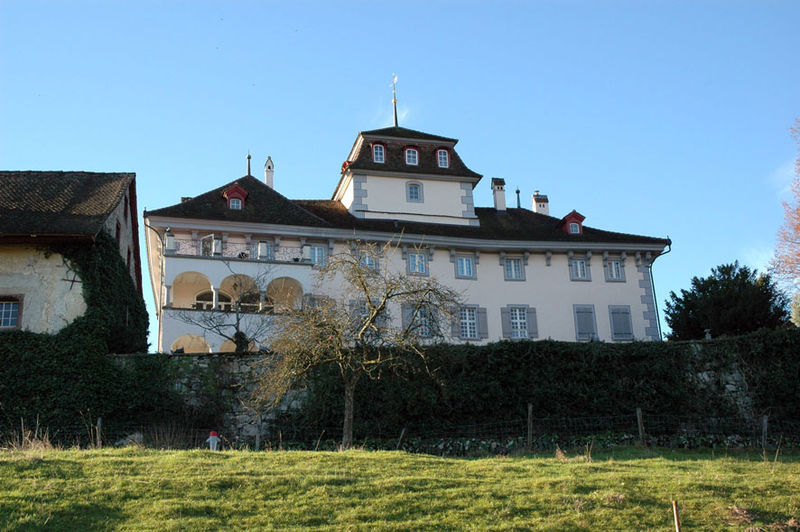 Файл:Schloss Hilfikon.jpg