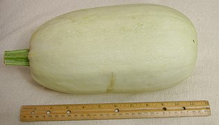 Spaghetti squash