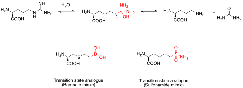 Transition state analogue example 3