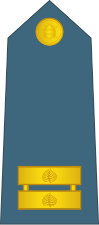 Файл:12-Slovenian Air Force-2LT.svg