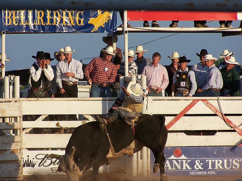 File:Bullriding.JPG