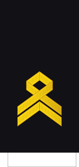 File:Germany-Navy-OR-8.svg