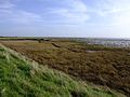 Marshland in front of the coast path behind Great Wakering New Ranges. This area is known locally as the Black Grounds. An old military lookout tower called 'X1' can be seen on the horizon.