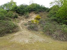 Holton Pit 8.jpg