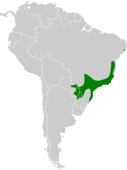 Distribución geográfica del batará goteado.