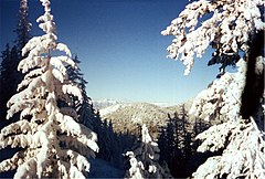 From the "Double Z" ski run at Loup Loup Ski Area