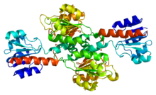 Protein PHGDH PDB 2g76.png