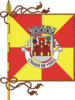 Flag of Viseu