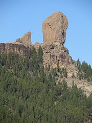 Roque Nublo y vegetación.