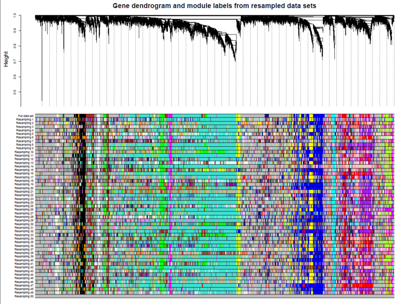 Файл:Wgcna bootstrap tree.png