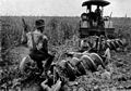 Image 45Early 20th-century image of a tractor ploughing an alfalfa field (from History of agriculture)