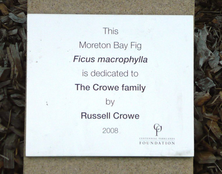 File:Crowe1.JPG