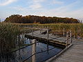 Path in the Horicon Marsh State Wildlife Area