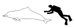 Atlantic humpback dolphin size