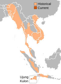 Rango de distribución del rinoceronte de java[Nota 1]​