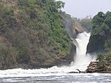 Murchison Falls in Uganda, between Lake Victoria and Lake Kyoga