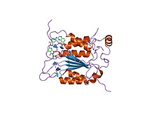 PDB 1rww EBI.jpg