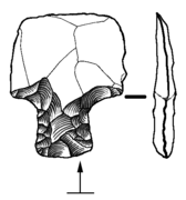 Retoque en pedúnculo