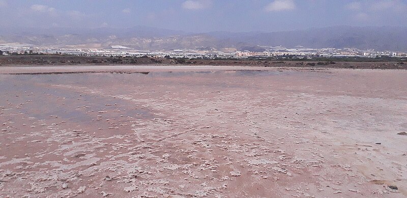 Archivo:Salinas de Roquetas.jpg