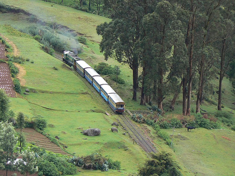 Файл:The Nilgiri Mountain Railway.jpg