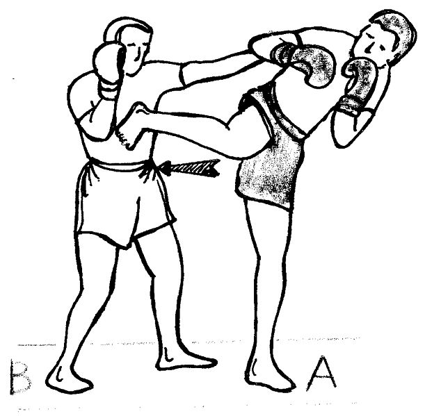 Archivo:Back-kick.jpg