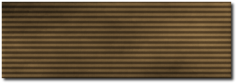 File:Bronze Wiki Ribbon Shadowed.png