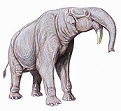 Life restoration of Deinotherium giganteum