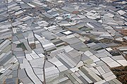 Greenhouse cultivation in Andalusia