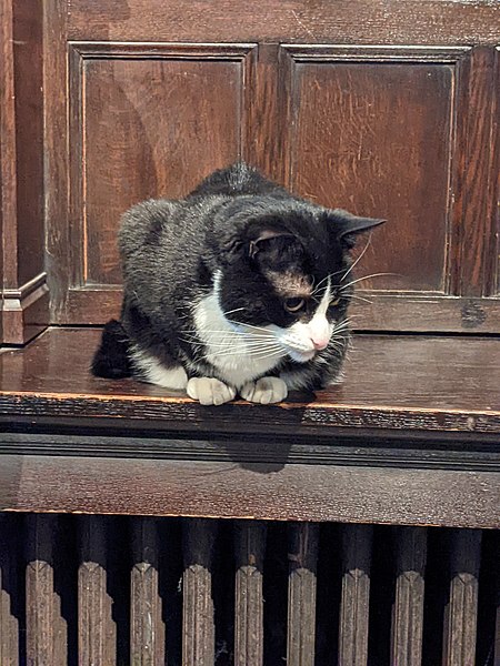 File:Hodge Southwark Cathedral.jpg