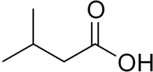 Isovaleric acid structure.png