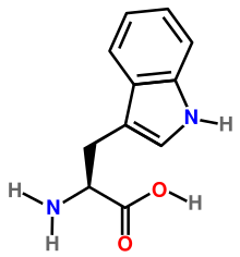 L-tryptophan.svg