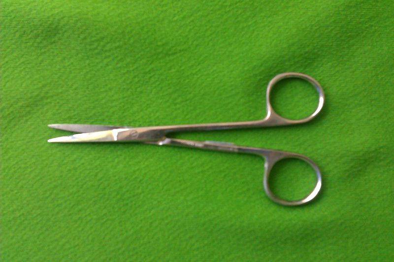 File:Metzenbaum scissors.jpg