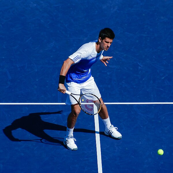 File:Novak Djokovic Volley 01.jpg