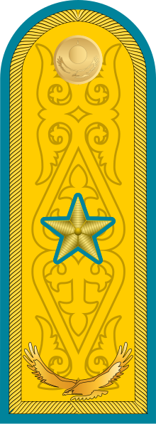 17-RKAF-MG.svg