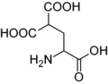 Carboxyglutamic acid. Whereas glutamic acid possess one γ-carboxyl group, Carboxyglutamic acid possess two.