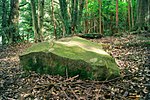 Ōnodai Dolmen Cluster