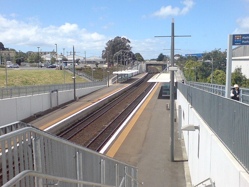 File:Panmure Train Station Trenching.jpg