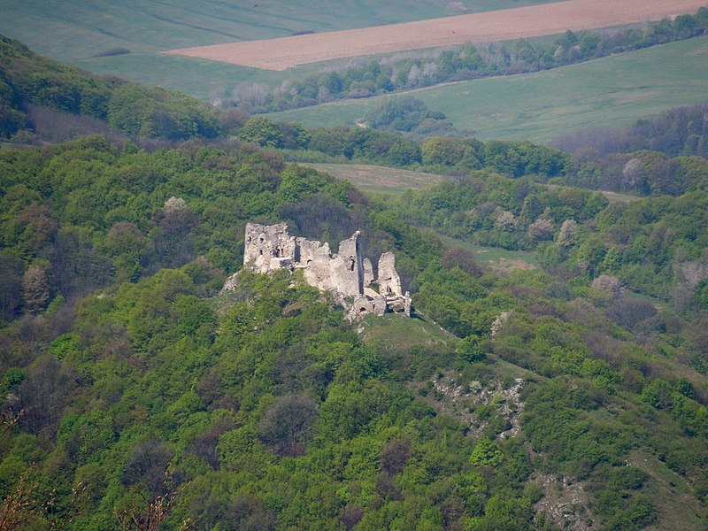 File:Pohľad na Brekovský hrad.jpg