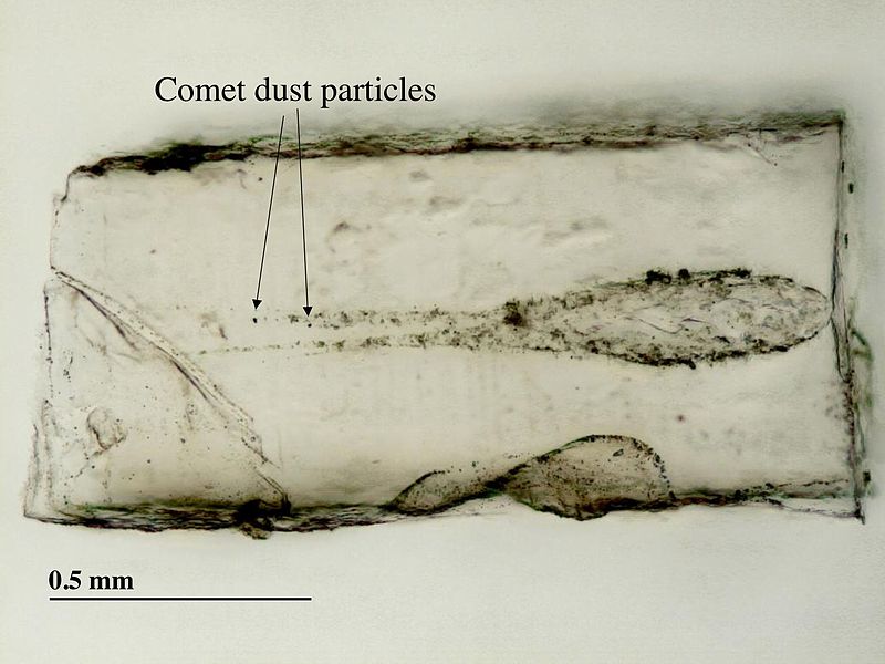 File:Stardust-particle-Tsou060207b.jpg