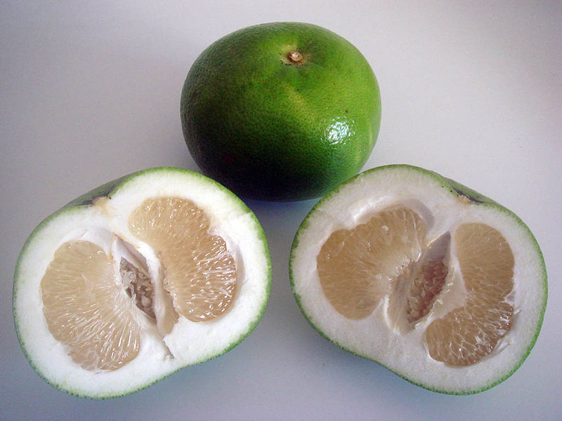 File:Sweetie (Citrus).jpg