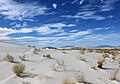 White Sands National Monument (New Mexico)