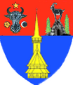 Actual Maramureș county CoA.png