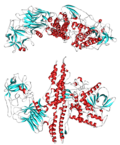 Thumbnail for Botulinum toxin